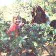 Farming the Right-of-Ways: Cultivable Land Image